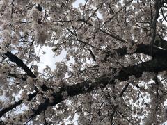 Erotic Escort Massage – Today's photo of () Photo3508832