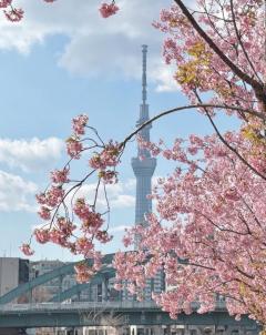 Erotic Escort Massage – Today's photo of Akane(23) Photo238564