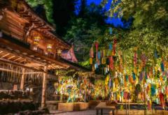 Erotic Escort Massage – Today's photo of Yuri(35) Photo2473743