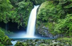 Erotic Escort Massage – Today's photo of Yuri(35) Photo2474148