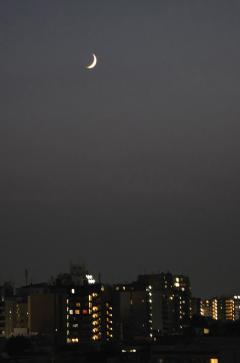 Erotic Escort Massage – Today's photo of Nell(30) Photo612044