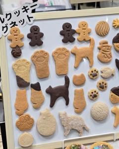 Erotic Escort Massage – Today's photo of Nell(30) Photo1097086