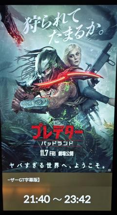 Erotic Escort Massage – Today's photo of Nell(30) Photo1346195