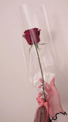 Erotic Escort Massage – Today's photo of Miya(24) Photo2327402