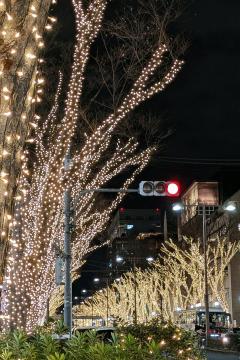 Erotic Escort Massage – Today's photo of Miya(24) Photo3940633