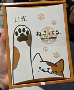 Erotic Escort Massage – Today's photo of Nell(30) Photo1067493