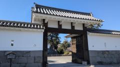 Erotic Escort Massage – Today's photo of Miya(24) Photo1907412