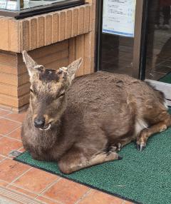 Erotic Escort Massage - Today's photo of Nell(30) Photo3349963